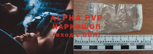 кокс Касимов