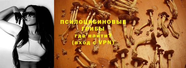 таблы Карпинск