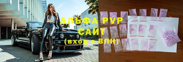 кокс Касимов